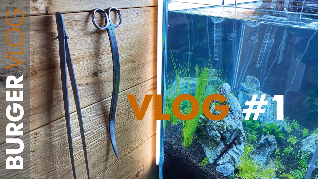 Burger VLOG #1 100 Tafeln Schokolade #bestatter #bestattervlog