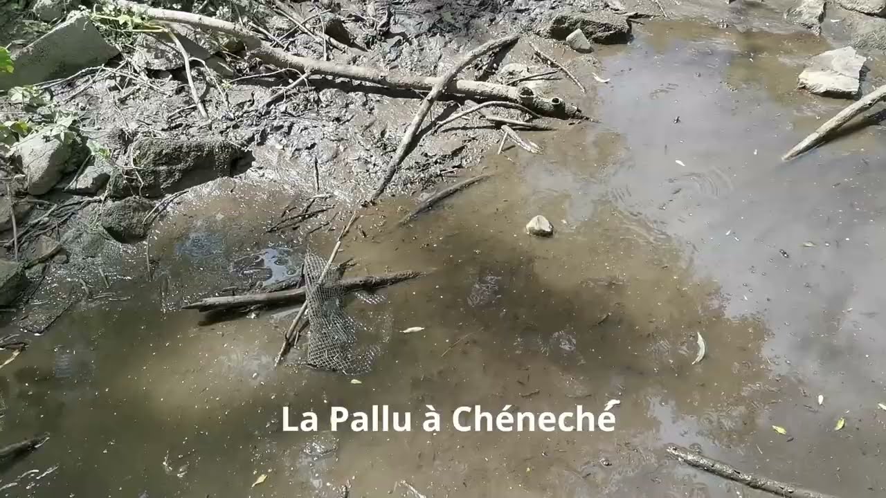 La mort de nos cours d'eau