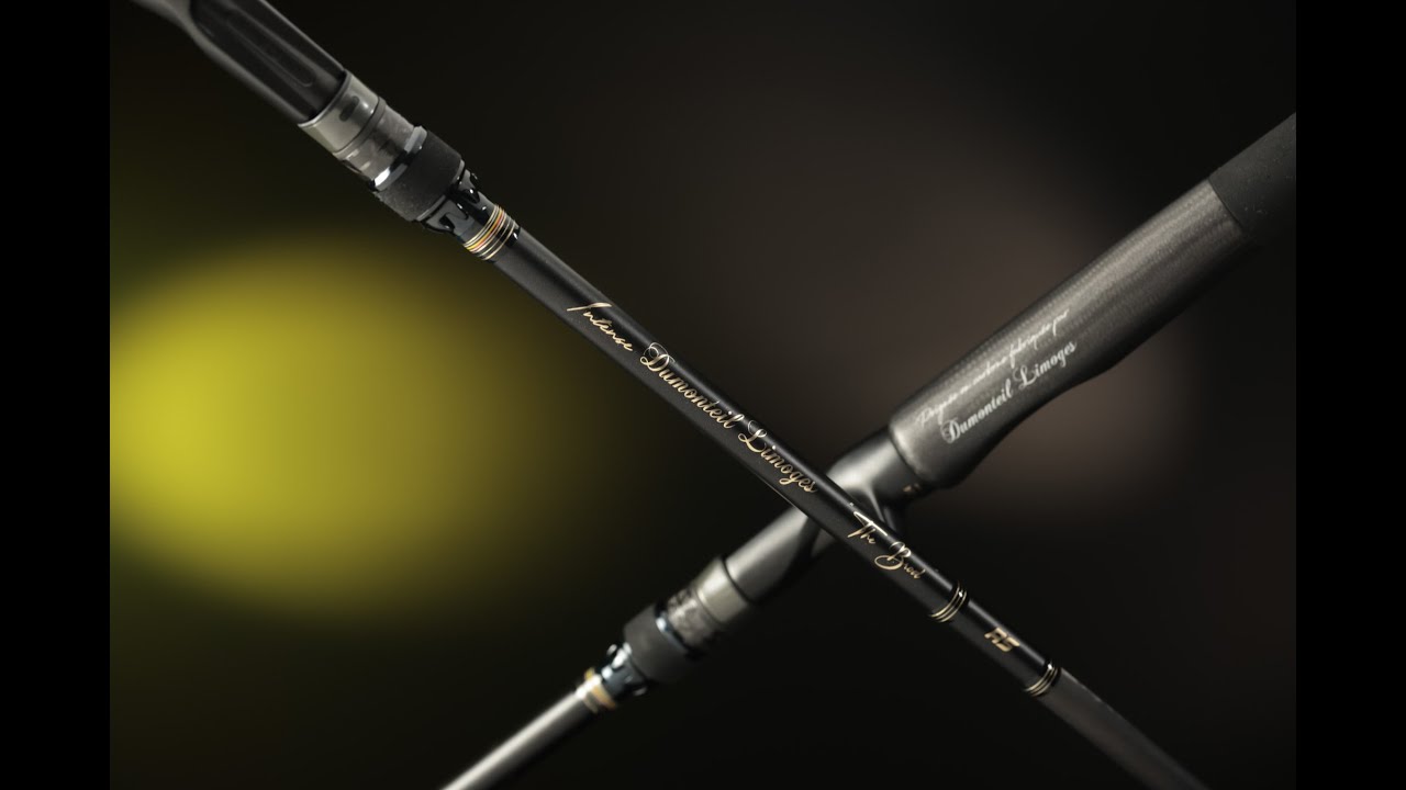 Canne à pêche big bait pour le brochet en 80/300g - Intense RS SWB 808 IM - Dumonteil Limoges