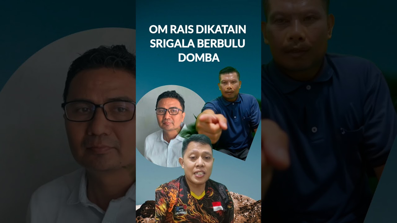 OM RAIS DIBILANG SRIGALA BERBULU DOMBA