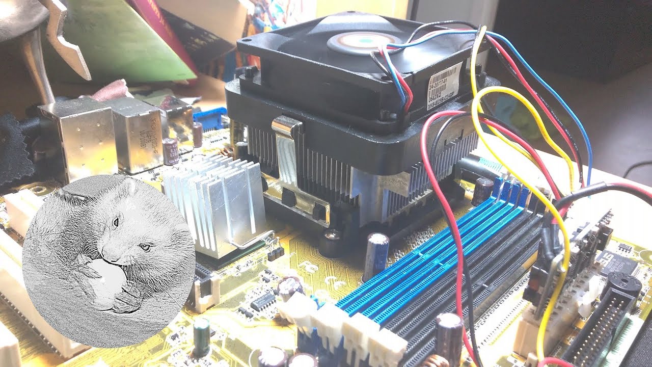 Can your computer run without RAM?