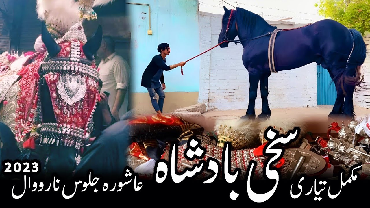 tayari zuljanah sakhi badshah | 10 muharram narowal #ashura #muharram2023 #2023 #duniyagolhai