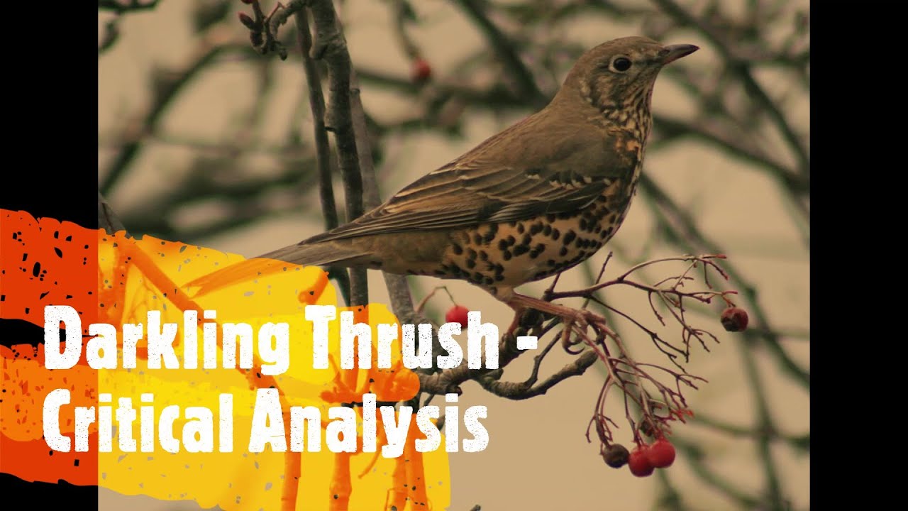 Critical Analysis of 'The Darkling Thrush' by Thomas Hardy - (ISC English)