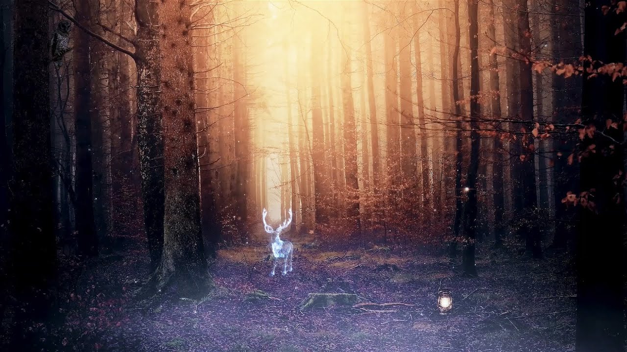 🍁🦉 AUTUMN IN THE FORBIDDEN FOREST | Enchanted Forest Ambience | Harry Potter inspired ASMR