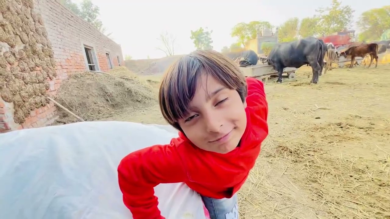 Main V Vlog Bnana Ha | Alwaa De Malik Es Vari Raray Gaeye