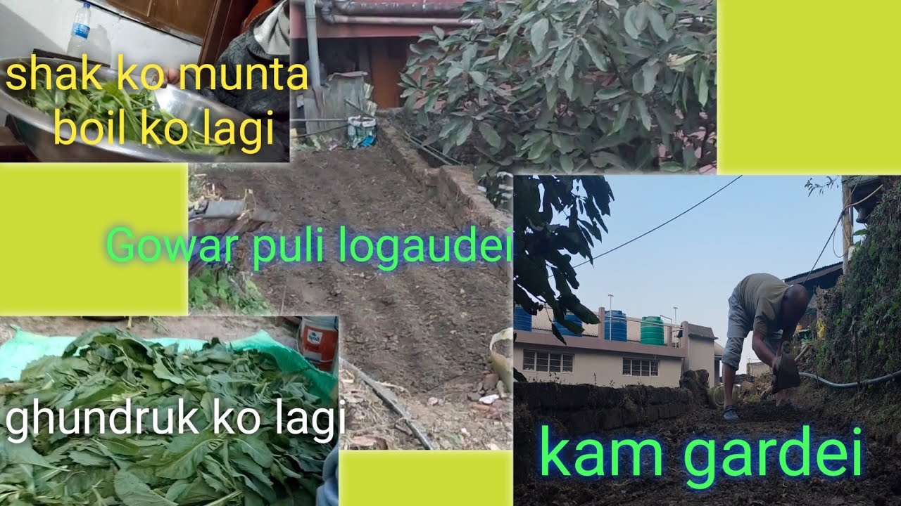 Sunday ma halkasa Bari ma kam gardai 