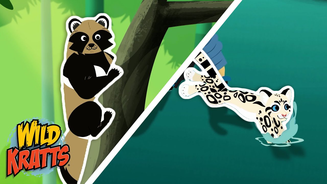 Cats that Swim and Dogs that Climb | Clouded Leopards and Raccoon Dogs | Wild Kratts