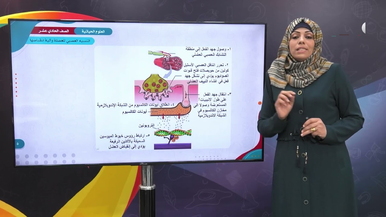 العلوم الحياتية 11 - الفصل 1 | التنبيه العصبي وآلية انقباضها