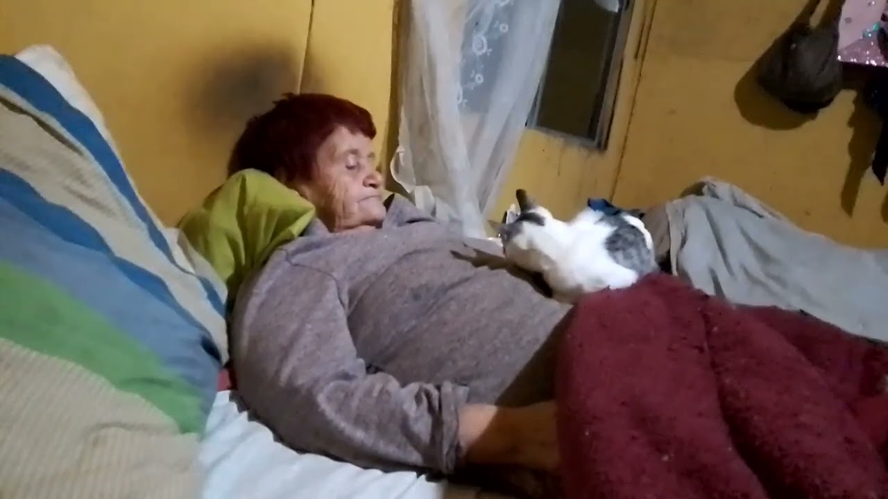 18 de febrero de 2026