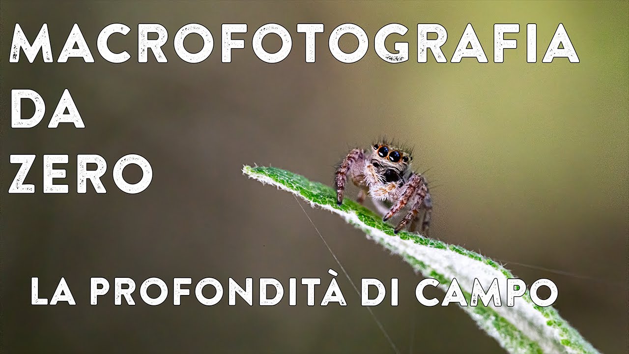 #02 MACROFOTOGRAFIA da ZERO: la profondità di campo