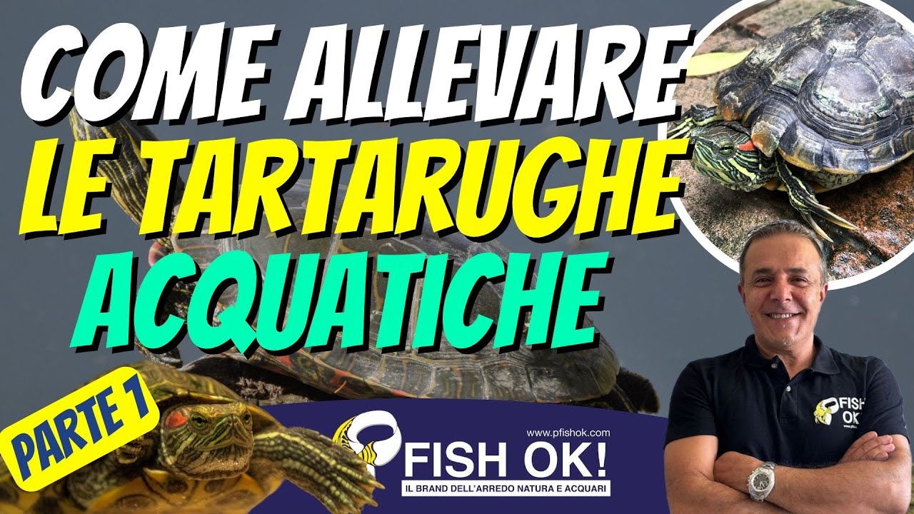 🐢Come Allevare le Tartarughine Acquatiche PARTE 1