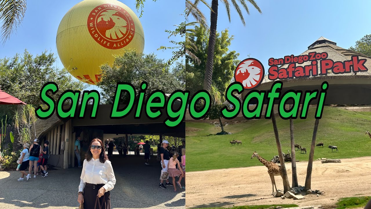 Khám Phá San Diego Zoo Safari Park 🦥🍃 | Summer Trip 🏖️🐾