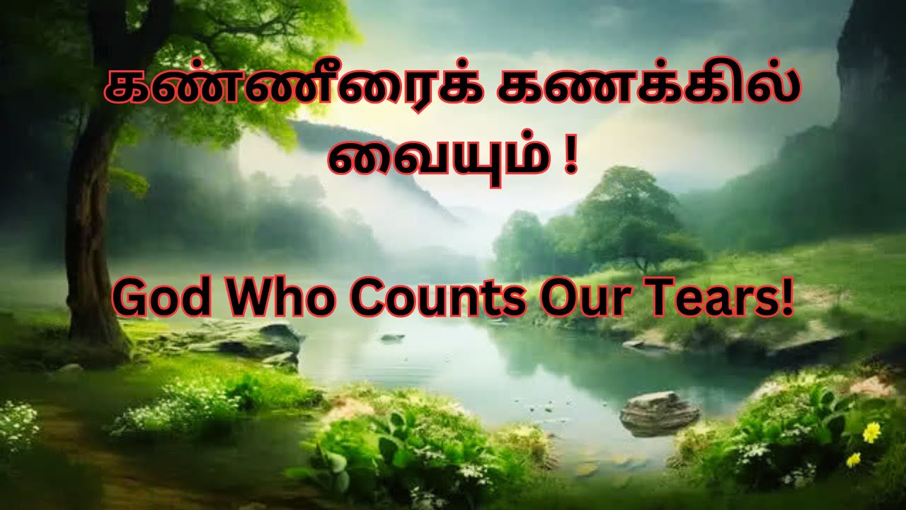 கண்ணீரைக் கணக்கில் வையும் !
