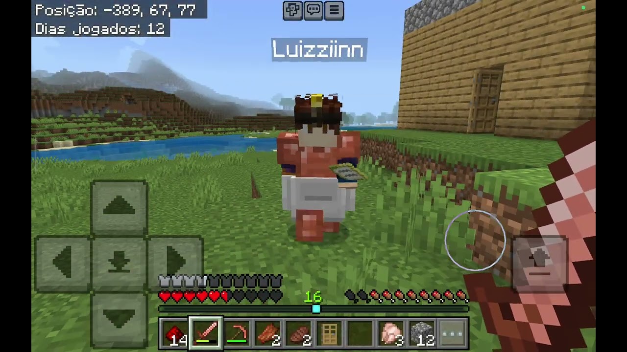 4  zerando Minecraft