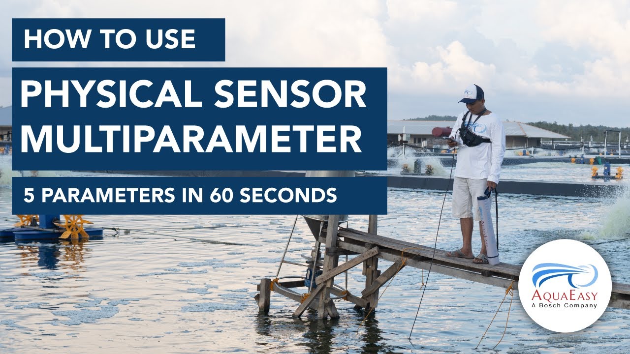 Physical Sensor Multiparameter - AquaEasy How To Use