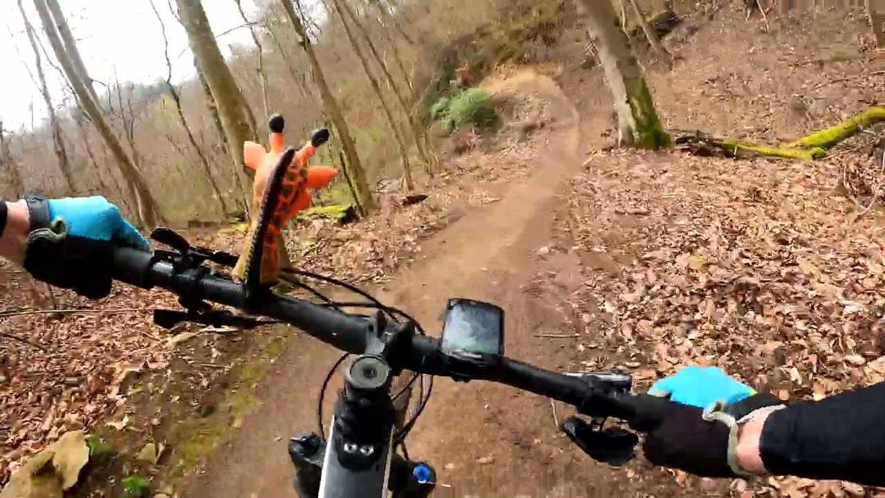 MTB Bike Trail Arlesheim - 4K | Donnerbuddies