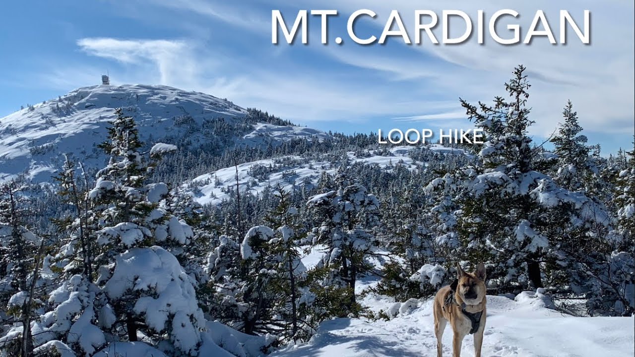Mt Cardigan Winter Hike