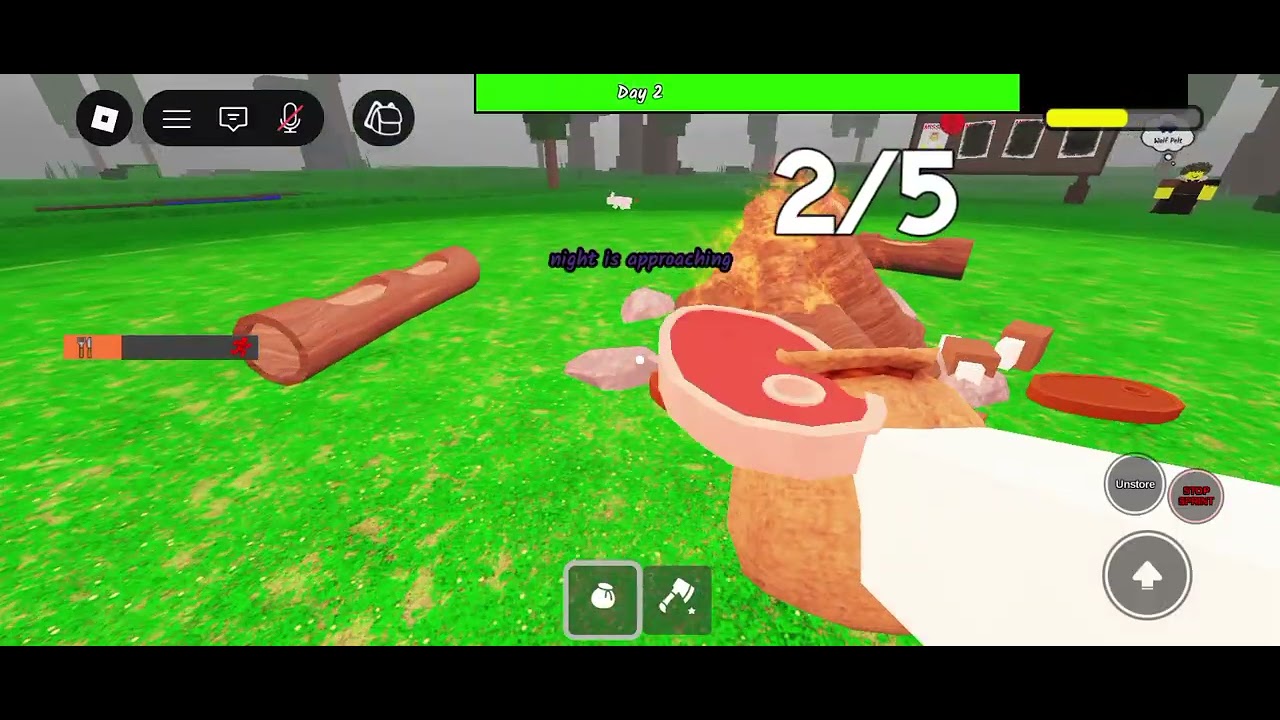 My first time playing!(2 really)