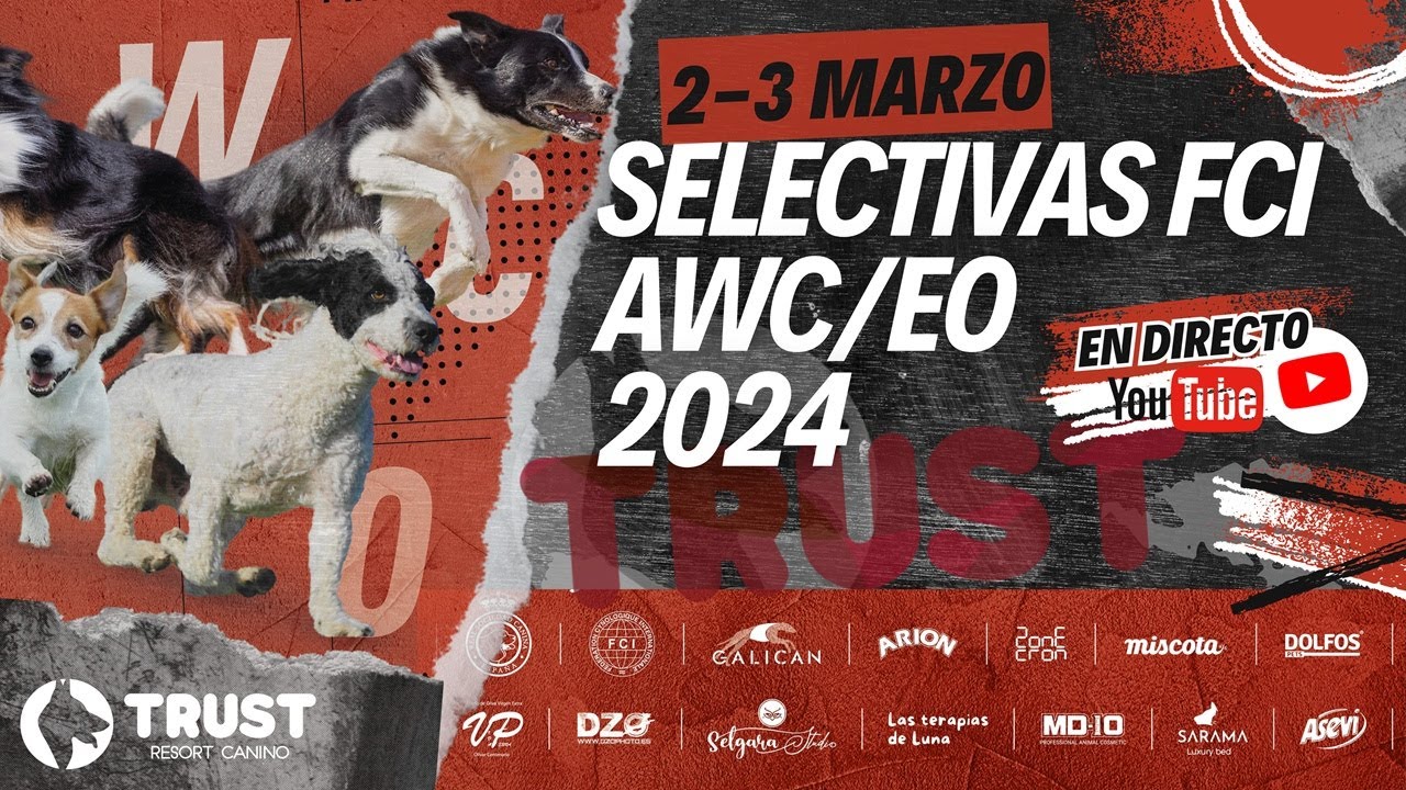 EN VIVO ► V - Selectiva RSCE AWC/EO FCI 2024 (Spain)