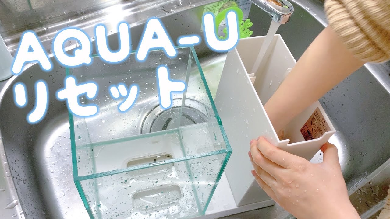AQUA-Uお片付けしました【アクアリウム】