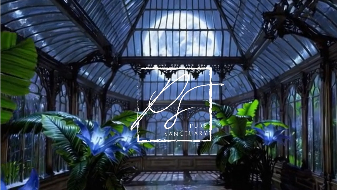 Rain on Glass Greenhouse | Deep Sleep and Focus   |  Pure Sanctuary