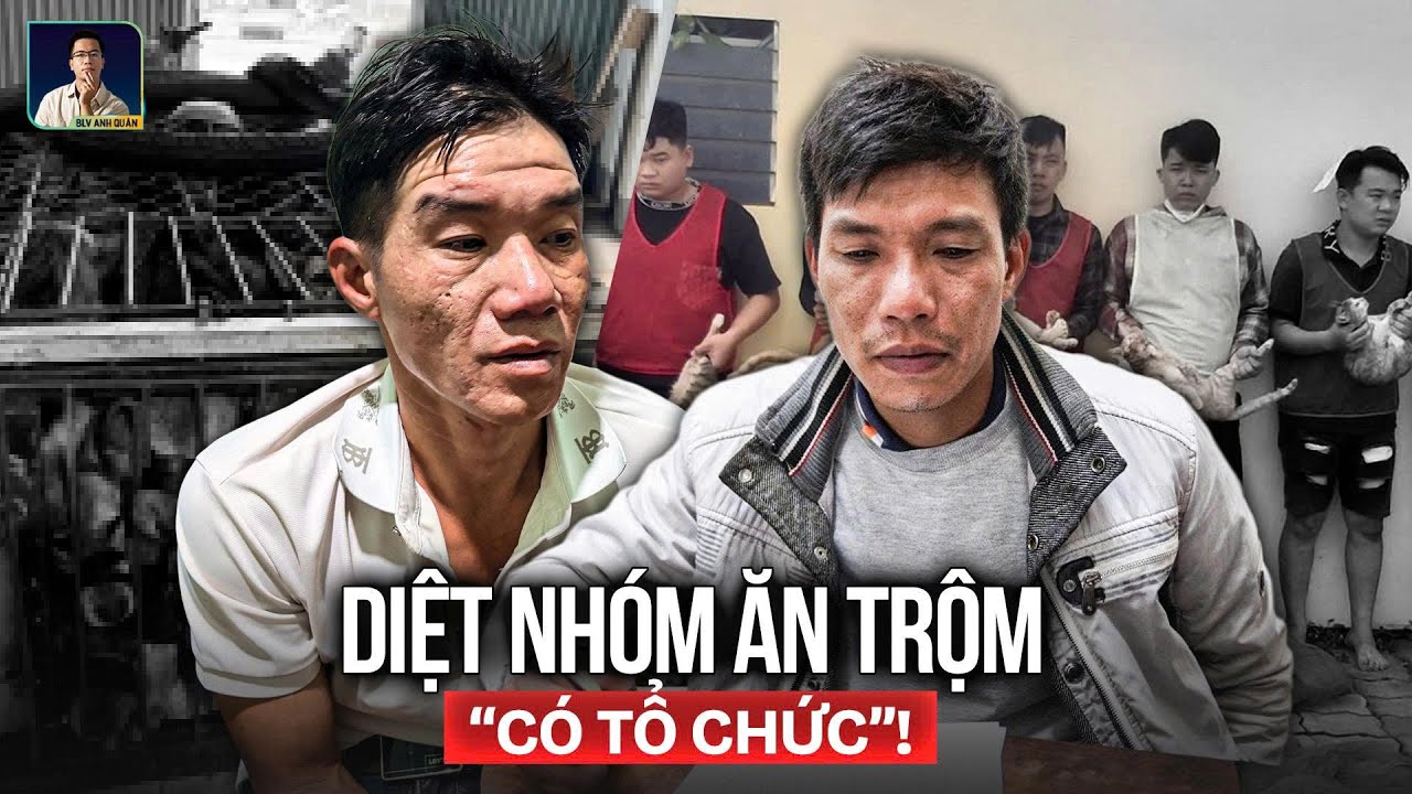 Công An Triệt Đường Dây Trộm Chó Mèo Lãi 2,6 Tỷ Tóm Gọn 52 Tấn, Trả Vật Về Vs Chủ Khiến Dân Xúc Động