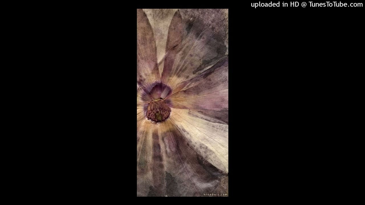 [FREE] Chill Type Beat ~ 