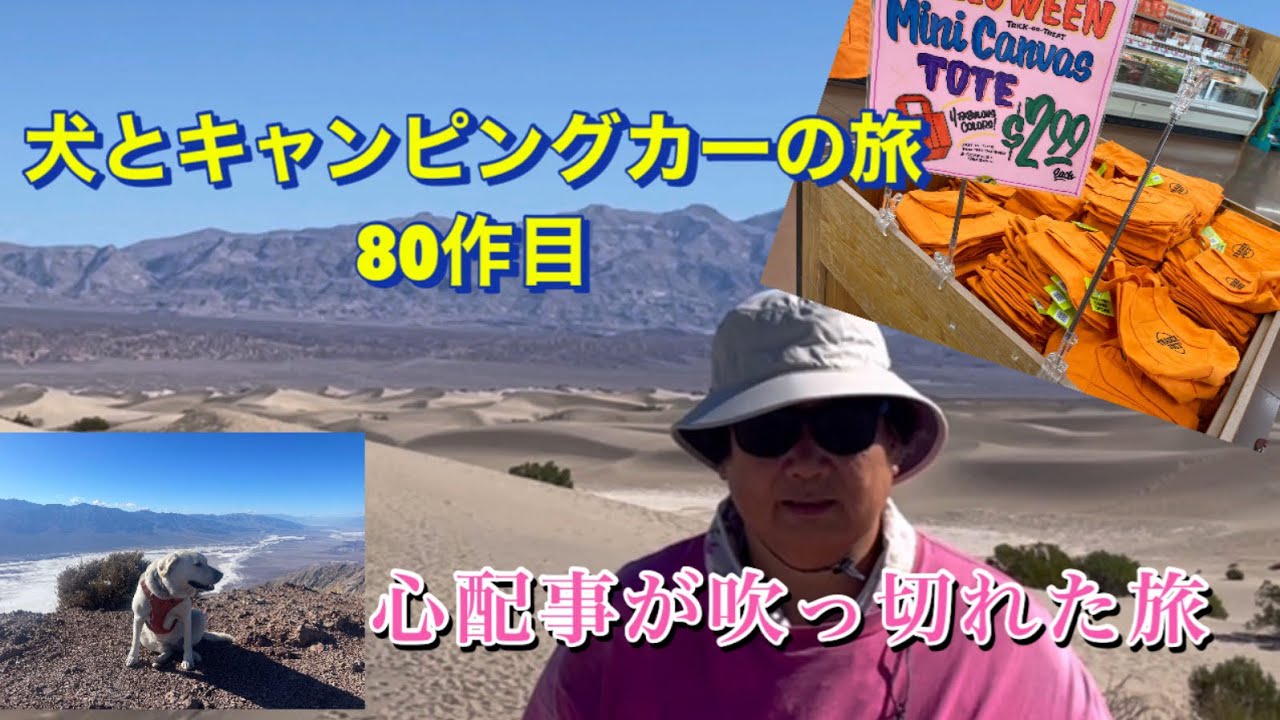 気ままなキャンプ旅　旅をしながらも心配事があったけど吹っ切れた。犬とキャンピングカーの旅#80