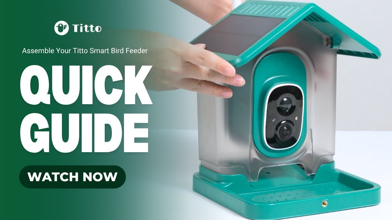 How to Assemble Your Titto Smart Bird Feeder: Easy Steps Guide