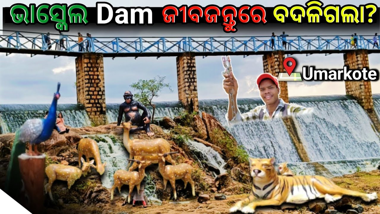 Umarkote Bhaskel Dam | Kodaka Dam | ଭାସ୍କେଲ ଡ଼େମ୍ ଜୀବଜନ୍ତୁରେ ବଦଳିଗଲା ଉମରକୋଟ ନବରଙ୍ଗପୁର || #bhaskekdam