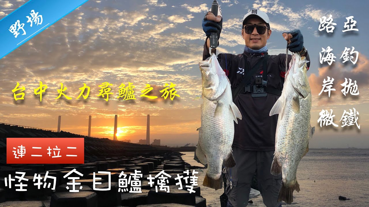 巨大野生金目鱸擒獲 台中火力出水口釣魚～[路亞 海釣 岸拋 微鐵 海鱸] Big Barramundi, Homas Lure Fishing Trip in Taiwan