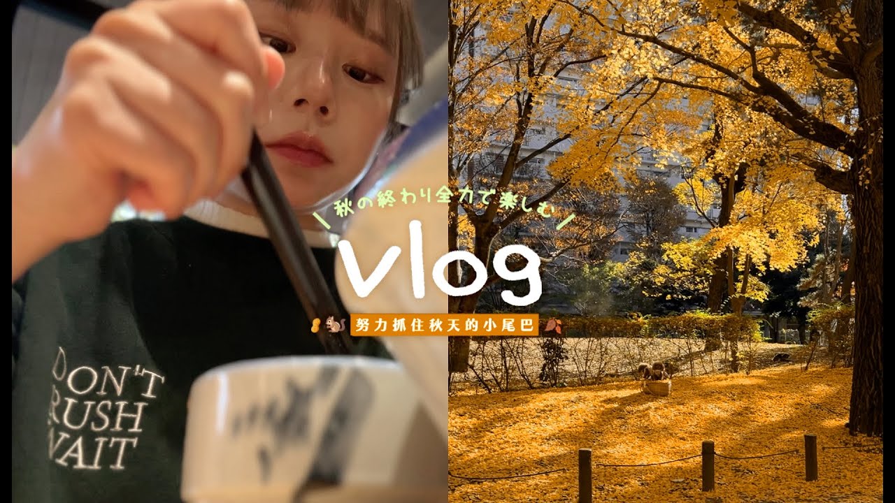 東京週記 ᴰᴱᶜ⌇努力抓住秋天的尾巴🍁、無印良品好物分享🧺、I'm donut？全新系列🍩【Vlog #11】日本語字幕付き