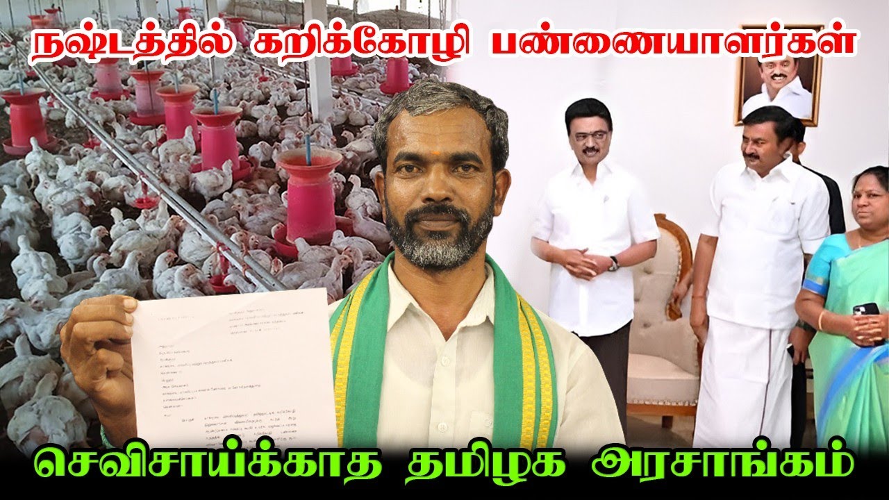 நஷ்டத்தில் கறிக்கோழி பண்ணையாளர்கள் | செவிசாய்க்காத தமிழக அரசு