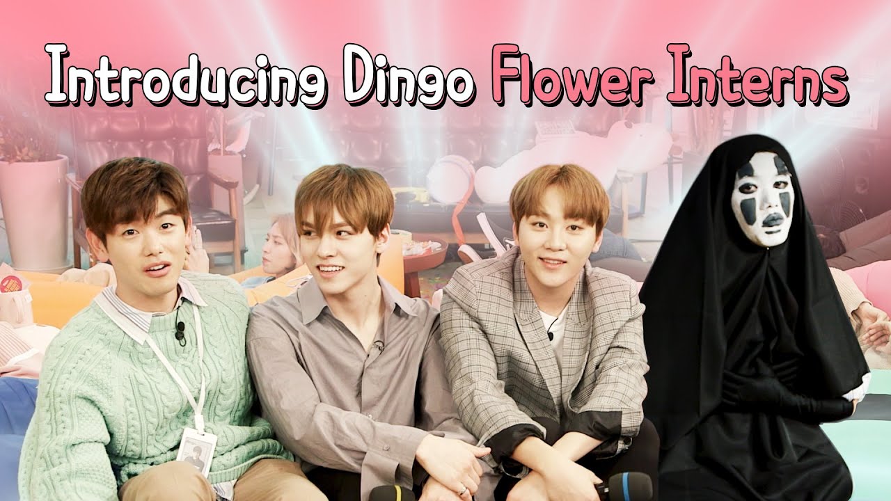 Introducing Dingo Flower Interns [Flower Intern] • ENG SUB • dingo kdrama