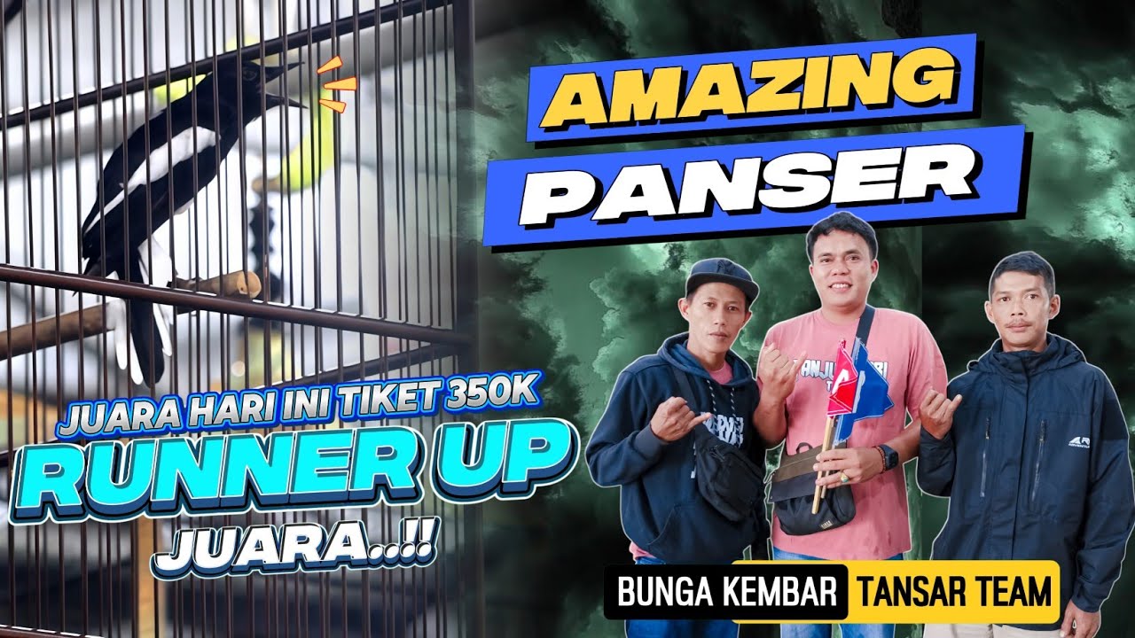 BERMAIN GILA DI GIKET 350K KMN REBORN PANSER JUATA KE 2🔸BUNGA KEMBAR TANJUNGSARI TEAM