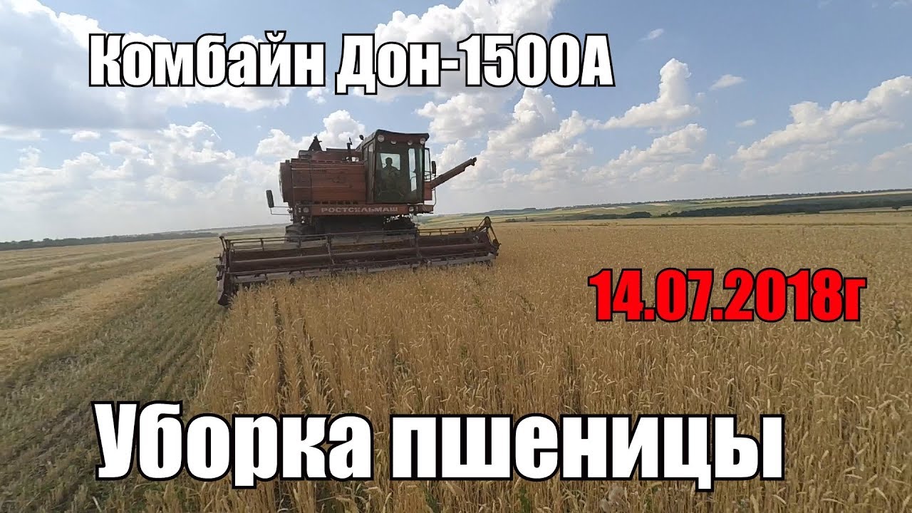 Уборка пшеницы 2018. Вторая часть.