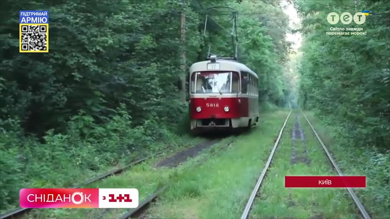 Курортная зона Киева – Пуща-Водица: как можно добраться и безопасно ли там сейчас