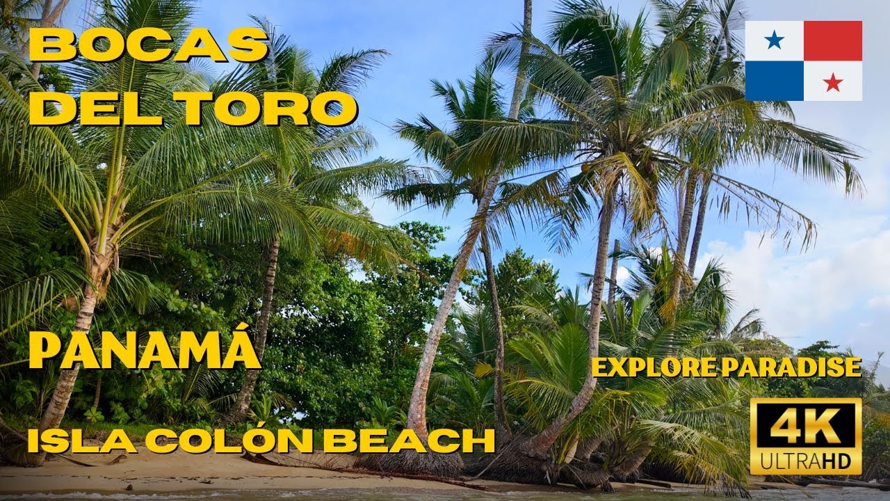 🌊 Walking Tour of Bocas del Toro: Stunning Caribbean Beach in Panama🏝️