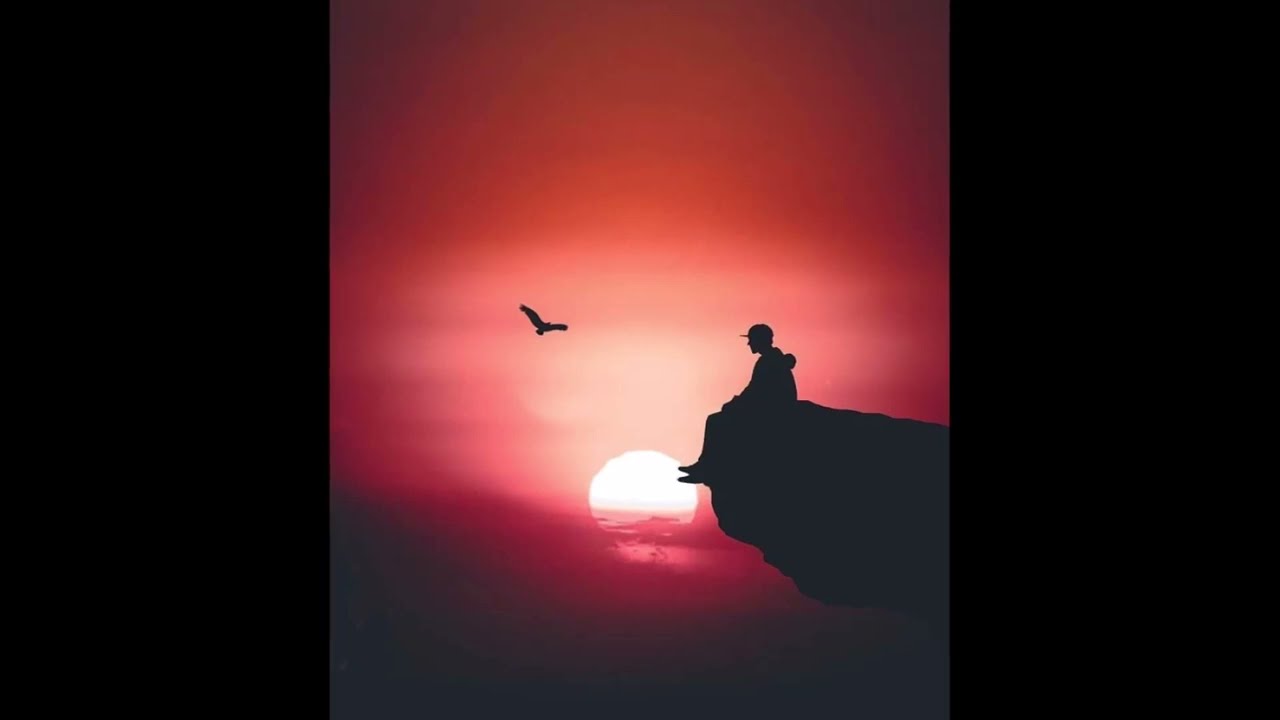 D I M F