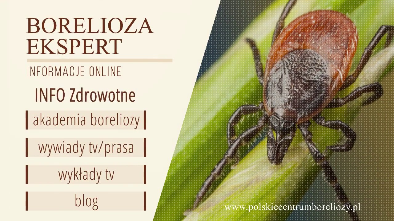 Borelioza Ekspert - informacje online