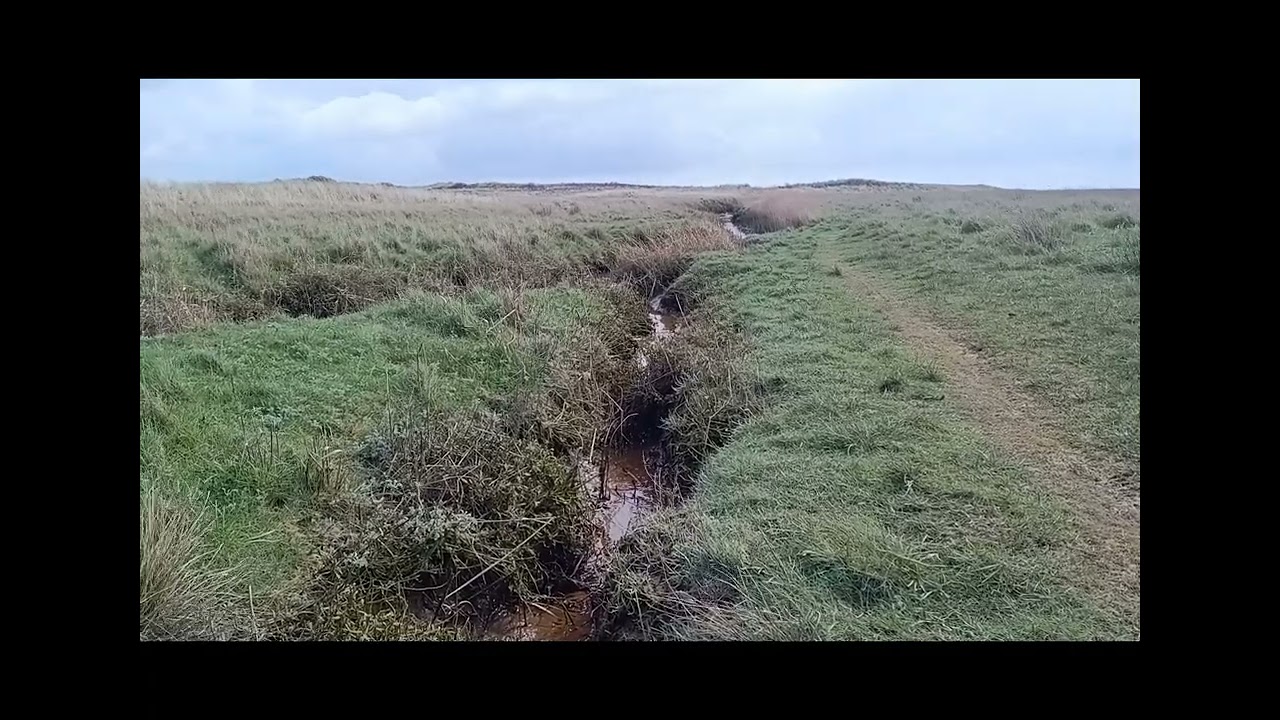 Solo hike naar Balg op Schiermonnikoog