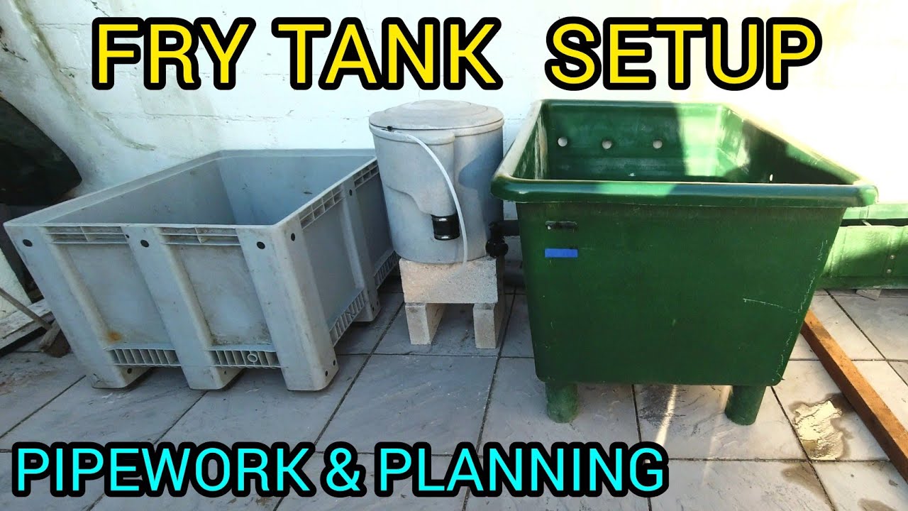 FRY TANK SETUP - PIPEWORK & PLANNING #PART1 (KOI POND)