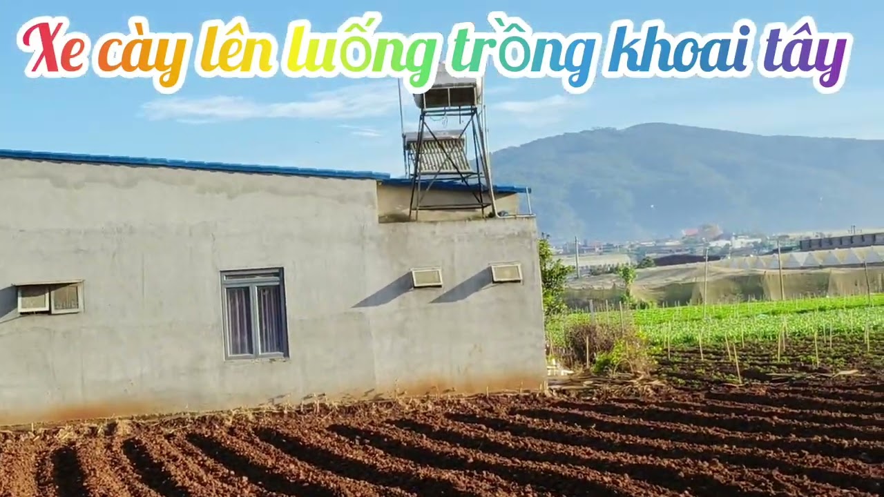 10 tháng 1, 2026