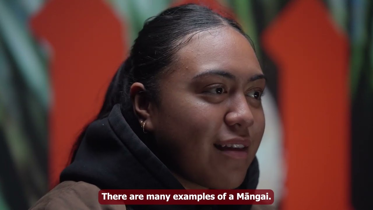 Чтобы быть полезным, нужно ли мне нарушать правила? Te Kahurangi 🔥