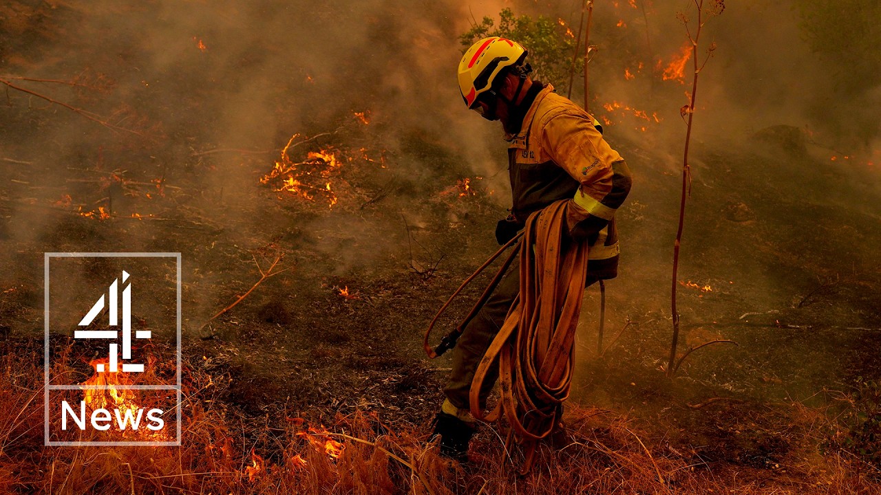 Europe wildfires: Flames just kilometers from Bordeaux