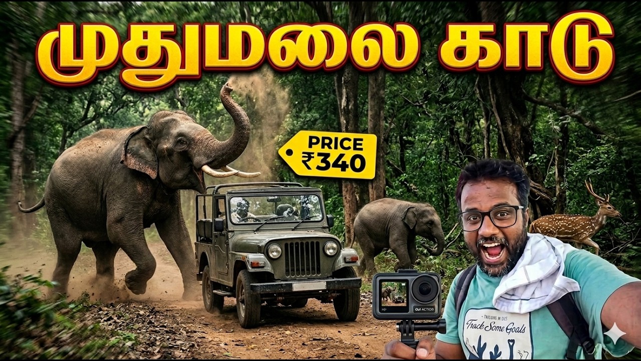 ₹340-ல் முதுமலை காட்டில் மறுக்க முடியாத அனுபவம் | Mudumalai Ticket Price & Full Details in Tamil