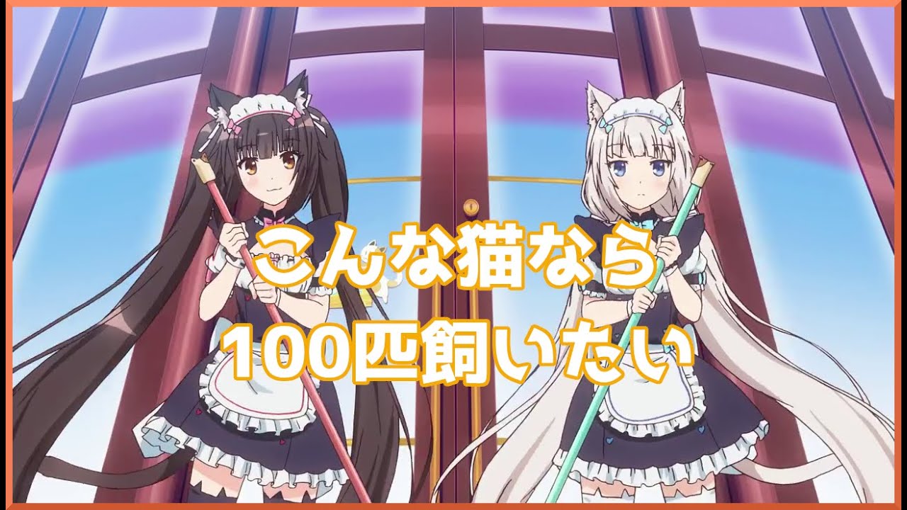 萌えアニメなのに闇を感じる！？「ネコぱら」アニメレビュー