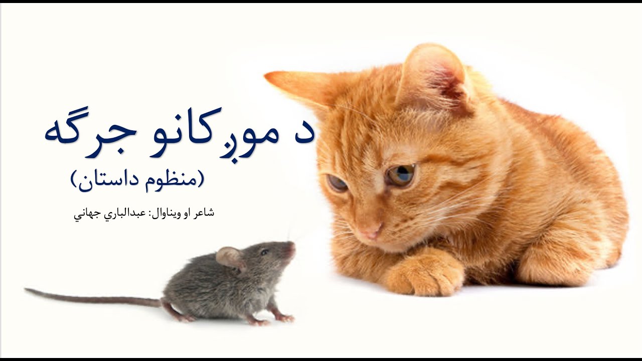 د موږکانو جرګه (منظوم داستان) | عبدالباري جهاني