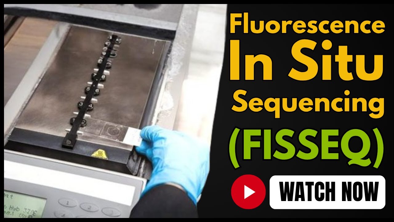 Fluorescent In Situ Sequencing (FISSEQ) | Principle, Process & Applications Explained