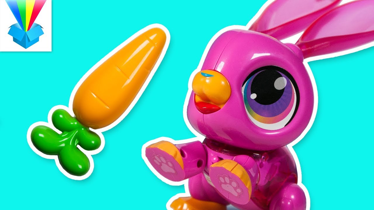 Kicsomi - 🦄 Kiki 🦄: 🎁 Build a Bot 👉🤖👈